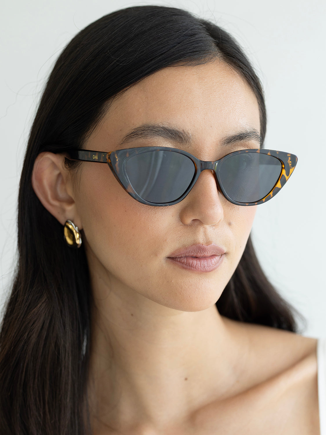 Tortoise Shell