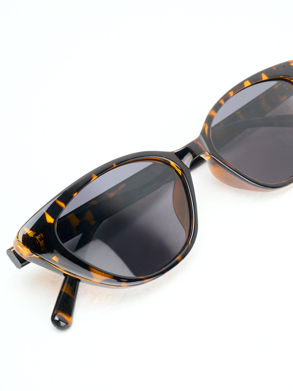 Tortoise Shell