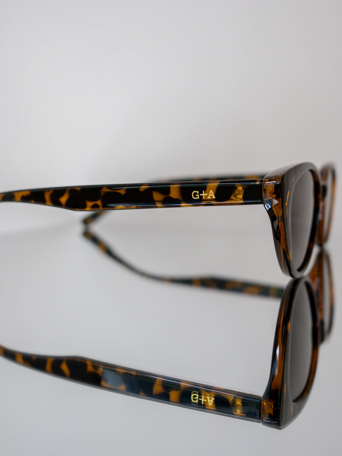 Tortoise Shell