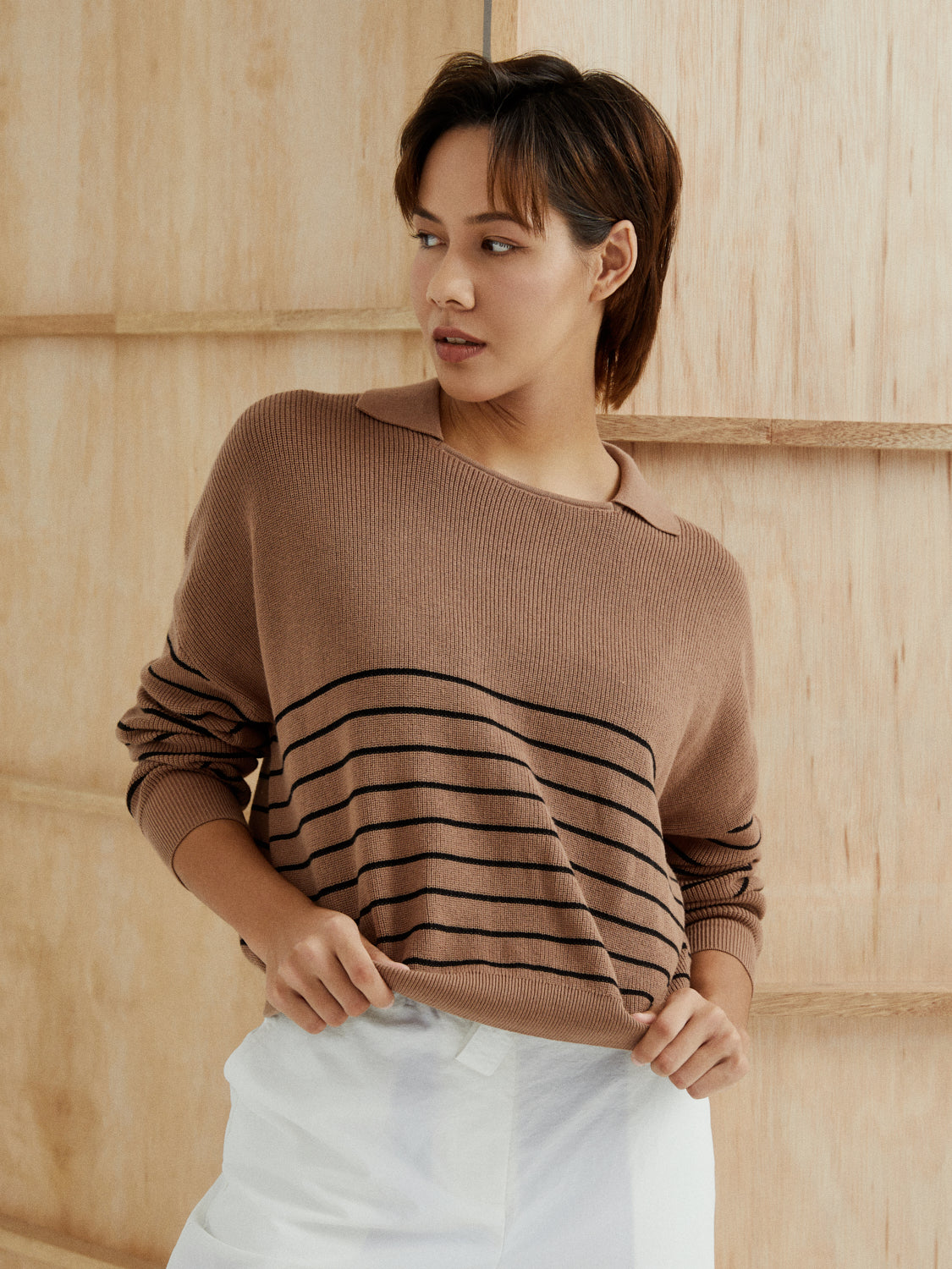 Brown Black stripes