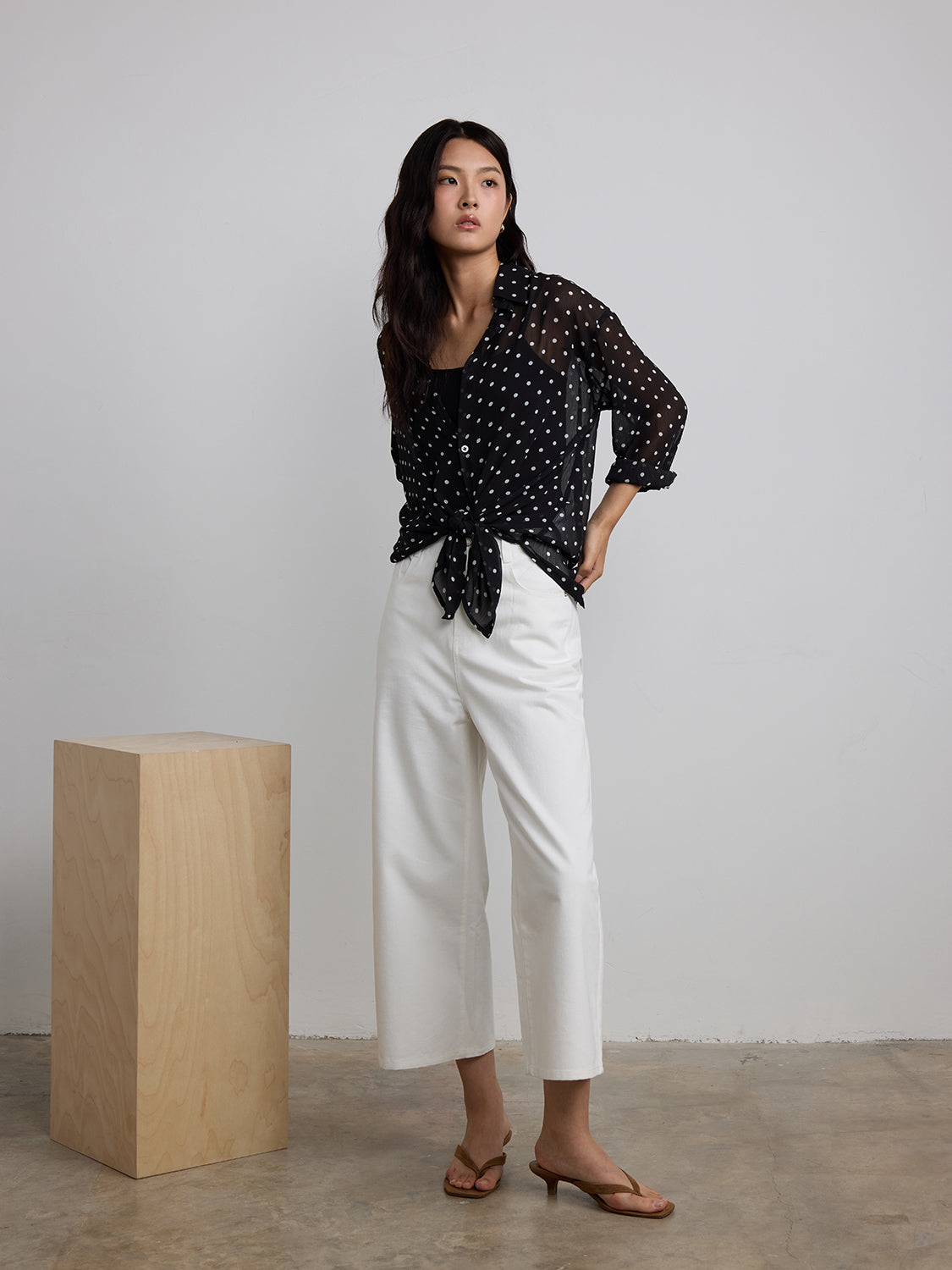 black polka dot sheer