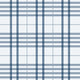 Seersucker Blue Check
